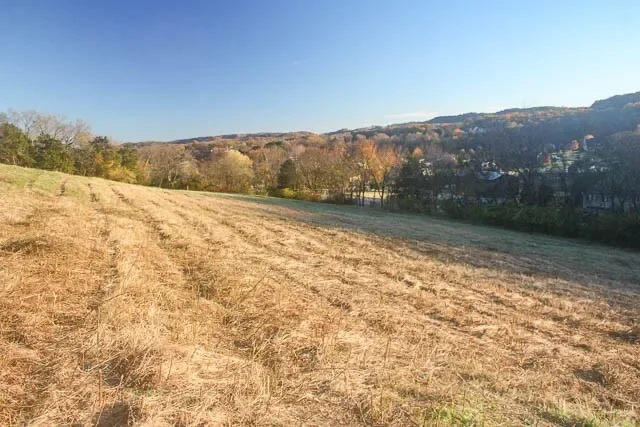 0 Peytonsville Rd, Franklin, TN 37064, Franklin, Tennessee, United States. - Photo 19