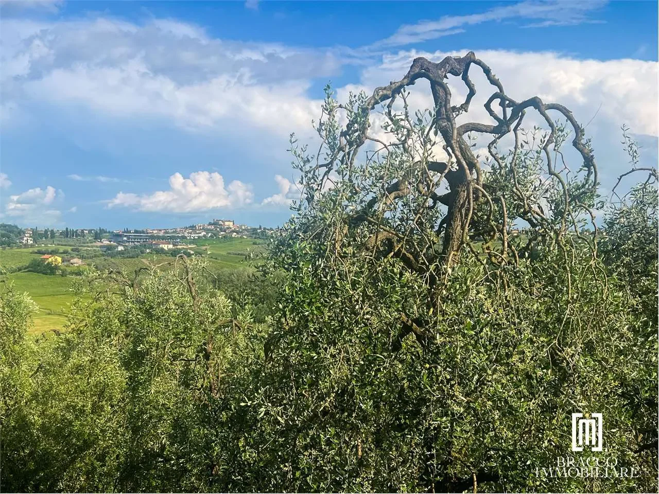 Via Roma, Cerreto Guidi, Tuscany, Italy. - Photo 15