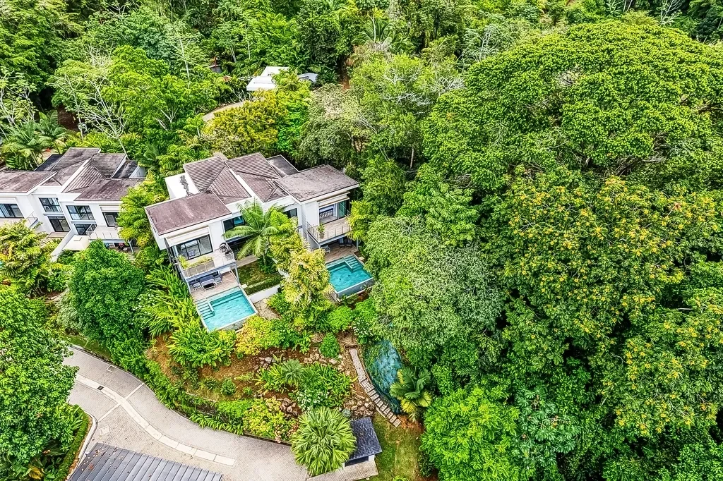 657Q+6R3, Escaleras, Puntarenas Province, Osa, Costa Rica, Dominicalito, Puntarenas Province, Costa Rica. - Photo 34
