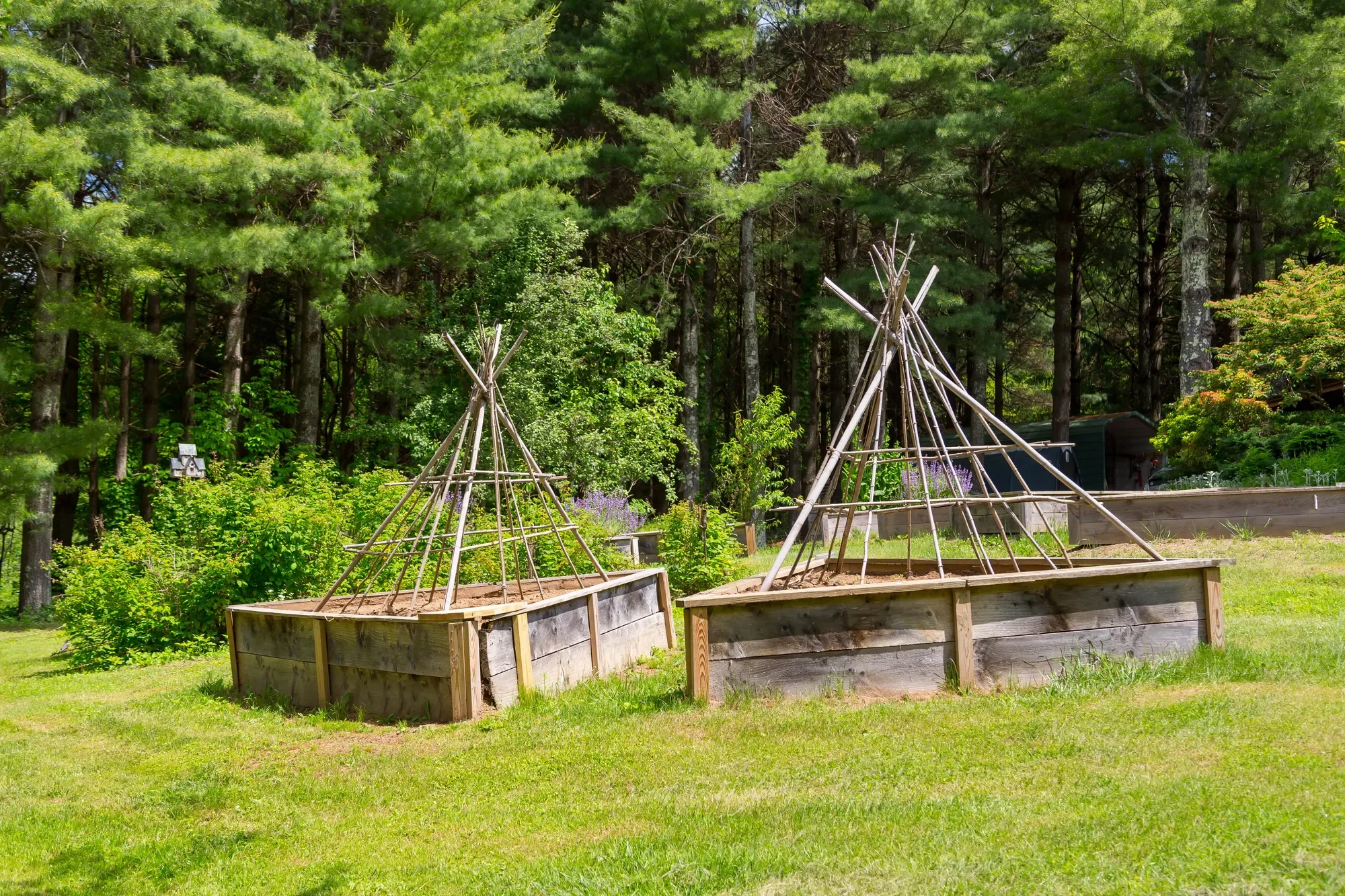 170 & 174 Sarvisberry Ln SW, Floyd, VA 24091, Floyd, Virginia, United States. - Photo 68