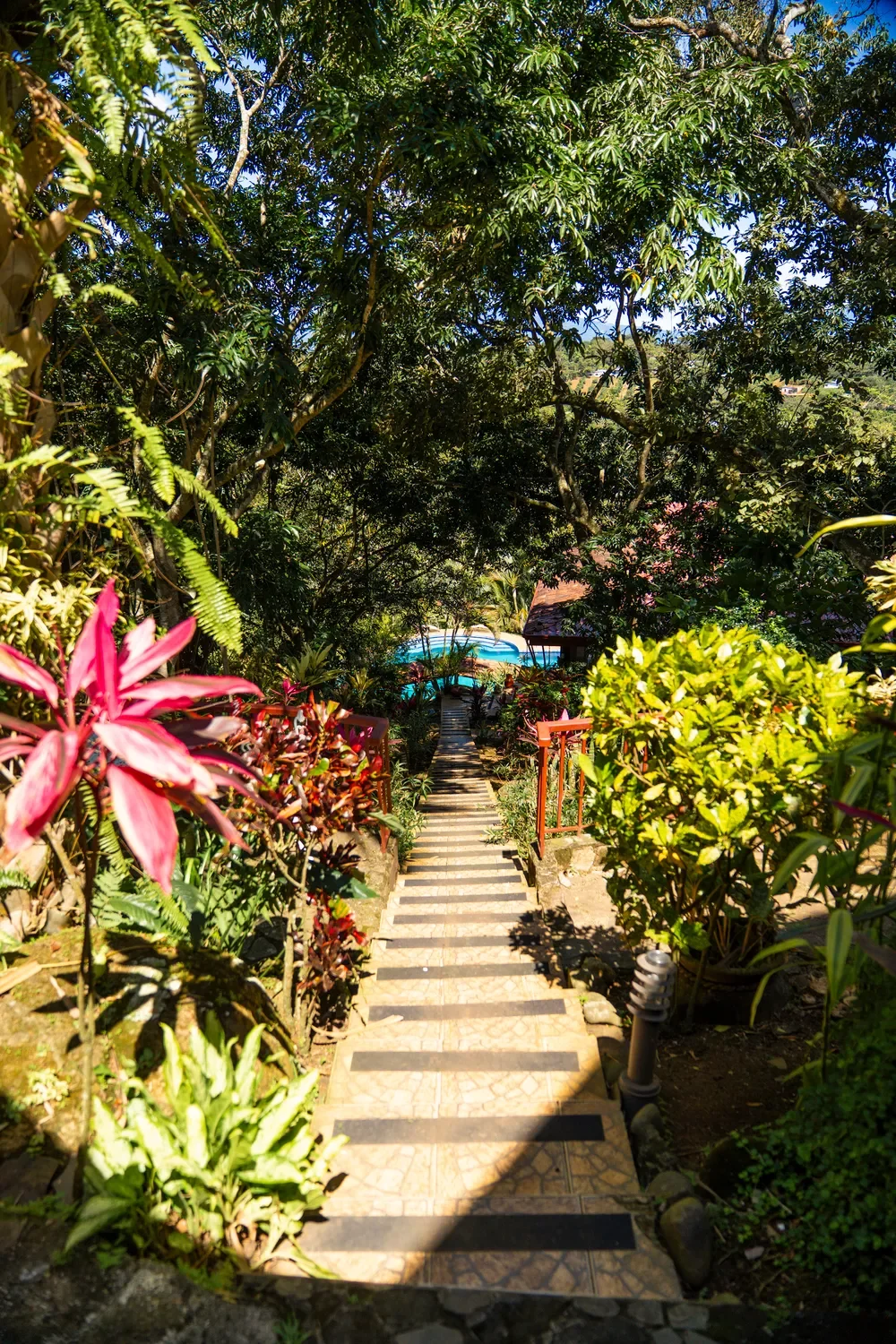 Alajuela Province, Atenas, Costa Rica, Atenas, Alajuela Province, Costa Rica. - Photo 39
