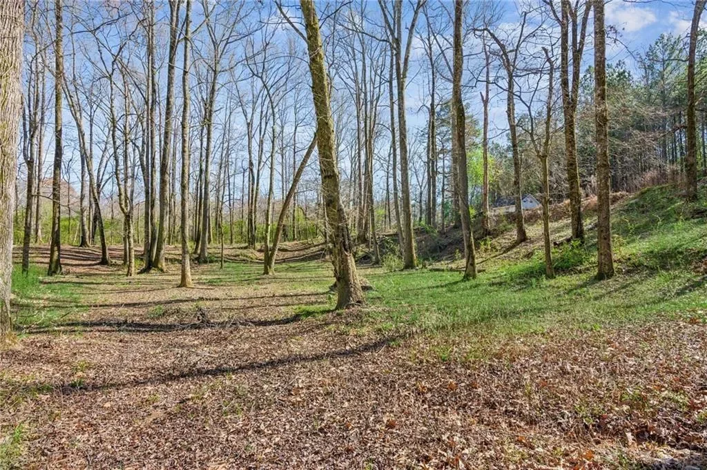 11637 Brown Bridge Road, Covington, Georgia, United States. - Photo 64