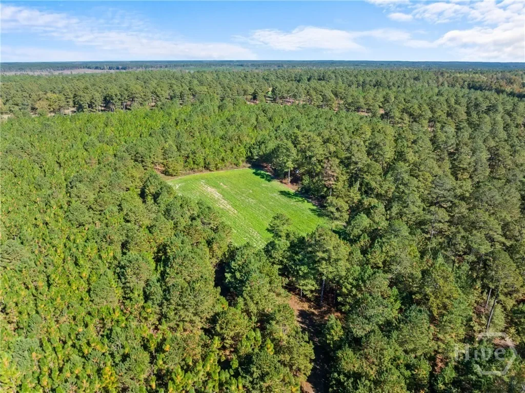 0 Honey Ridge Road, Millen, Georgia, United States. - Photo 50