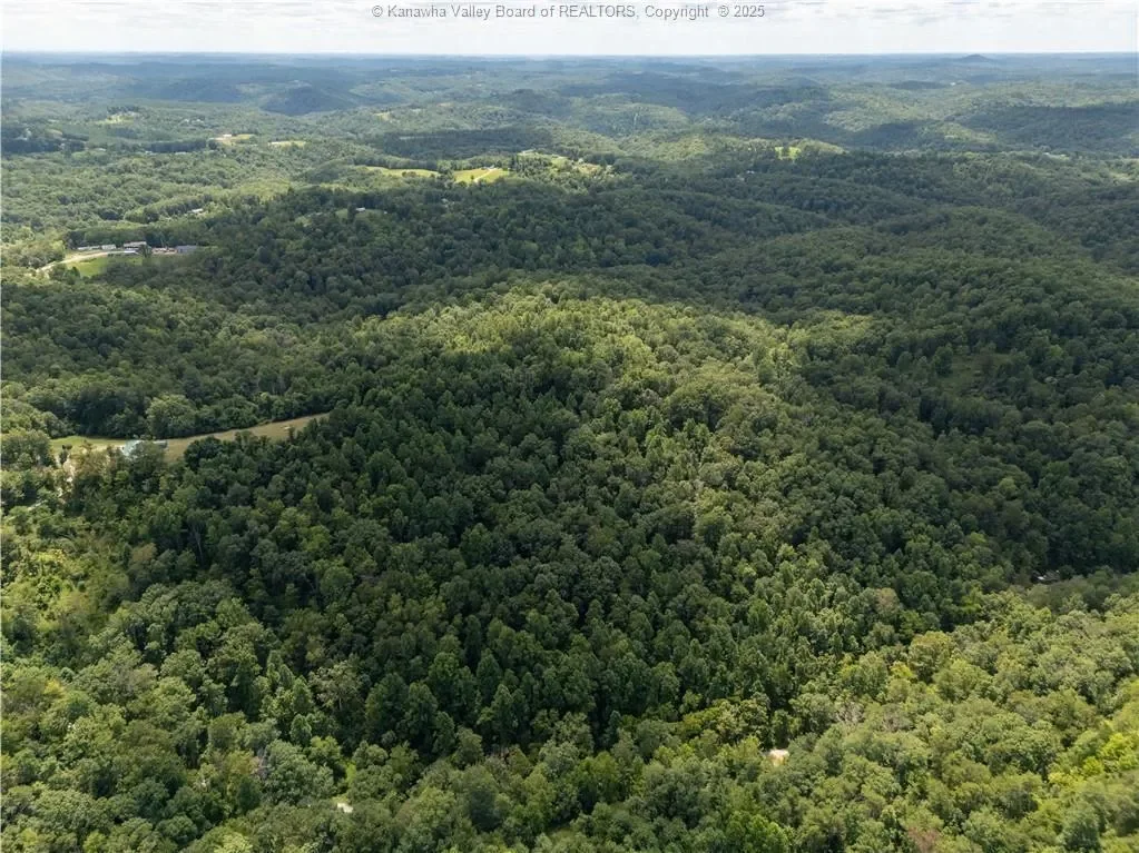 0 Rocky Knob, Gay, WV 25244, Gay, West Virginia, United States. - Photo 6