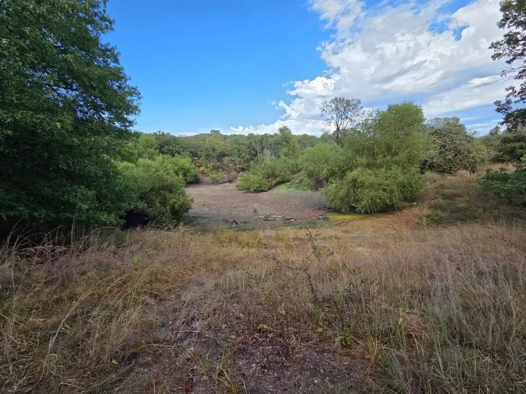203 Saddle Ridge Court, Springtown, Texas, United States. - Photo 29
