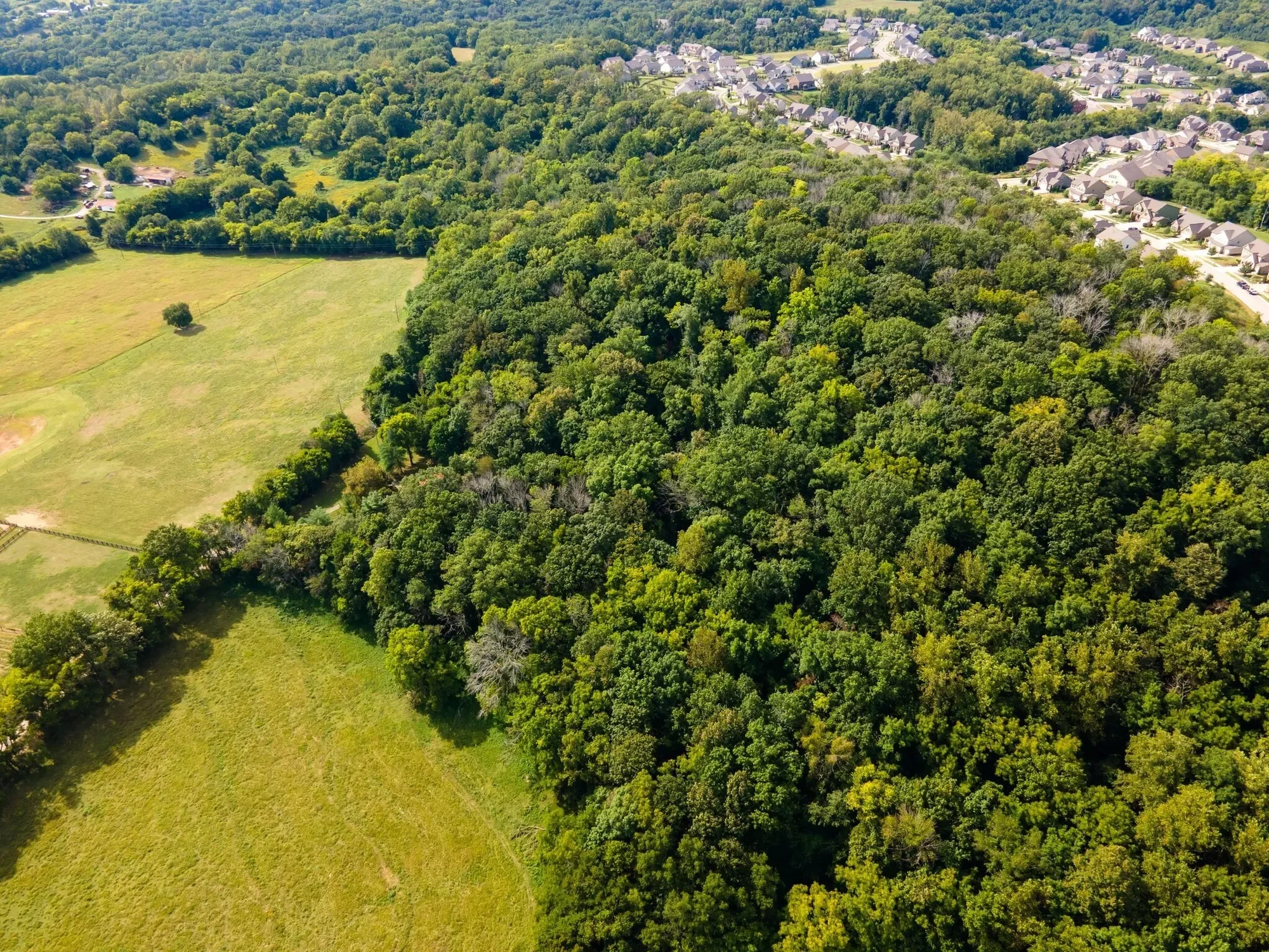 6341 McDaniel Rd, College Grove, TN, 37046, USA, College Grove, Tennessee, United States. - Photo 20