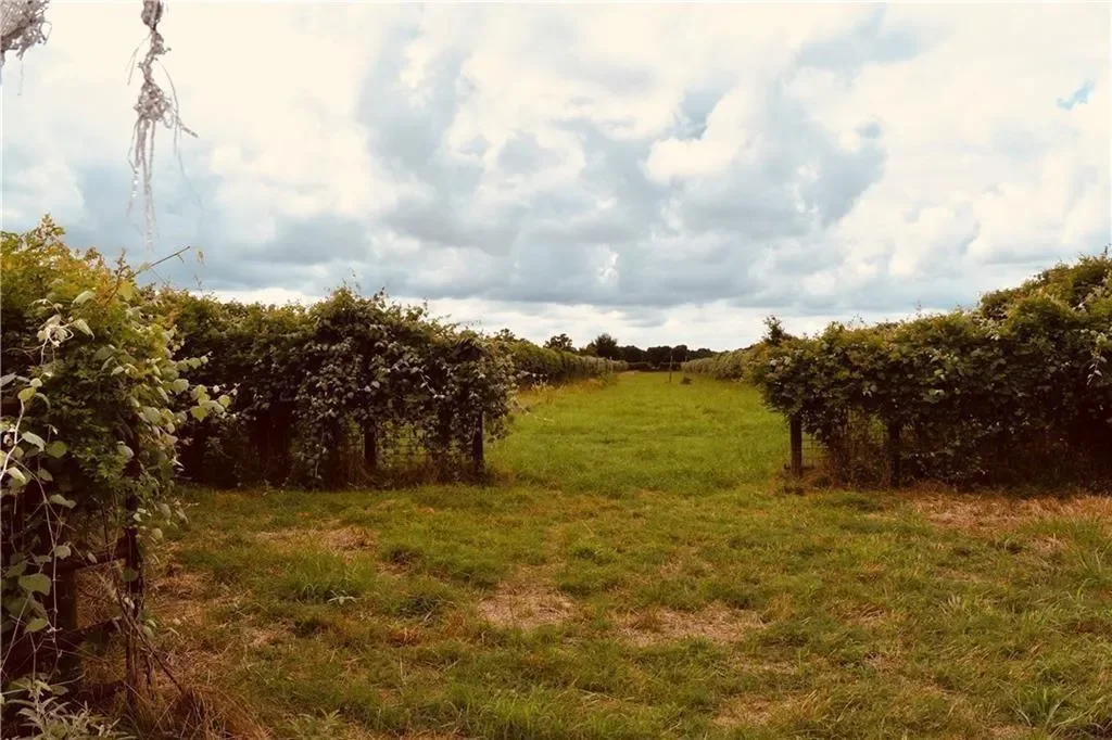 1409 Antioch RD, Paige, Texas, United States. - Photo 20