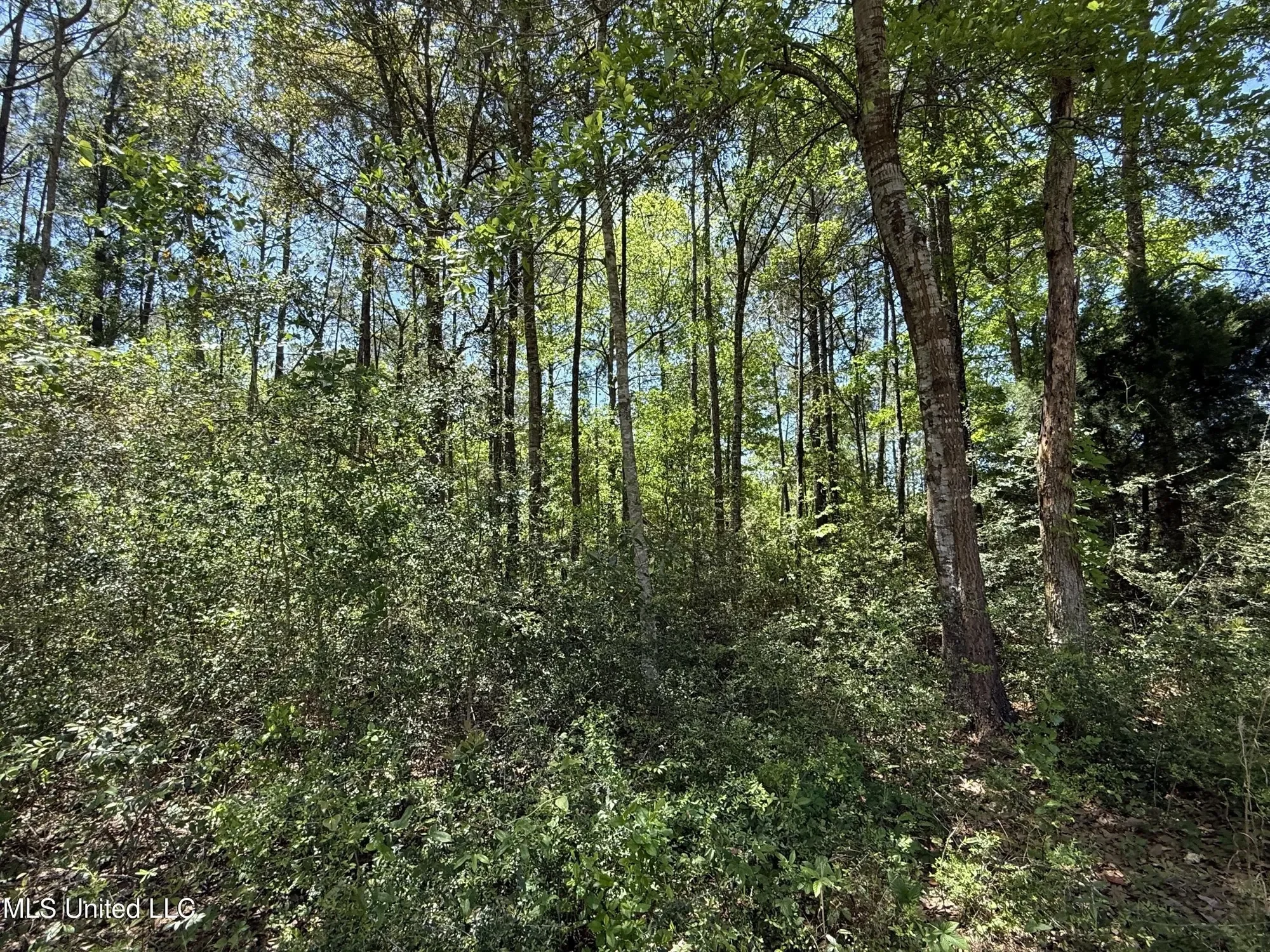 7701 Bienville Boulevard lot: 90 90, Ocean Springs, MS 39564, Ocean Springs, Mississippi, United States. - Photo 20