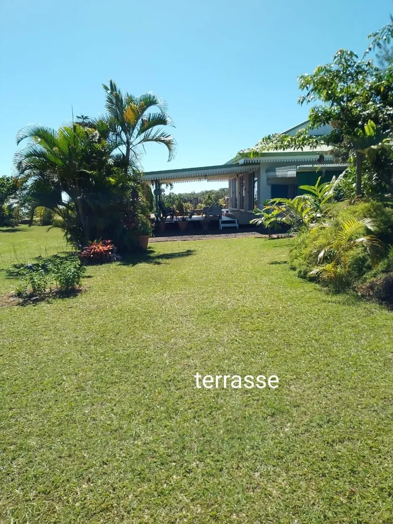 Toahotu, Toahotu, Taiarapu-Ouest, Windward Islands, French Polynesia. - Photo 21