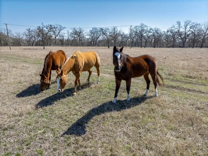 105 River Valley Drive, Georgetown, TX 78626, Georgetown, Texas, United States. - Photo 16