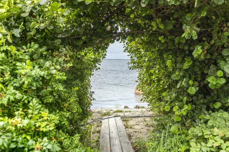 Mölgisilla, Lääneotsa küla, Viimsi vald, Harju maakond, Viimsi, Harju County, Estonia. - Photo 22