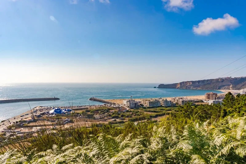 Pederneira, Nazare, Leiria District, Portugal. - Photo 43