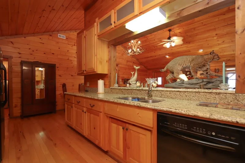 145 Lazy Acres Lane, Lake Lure, NC 28746, Lake Lure, North Carolina, United States. - Photo 12
