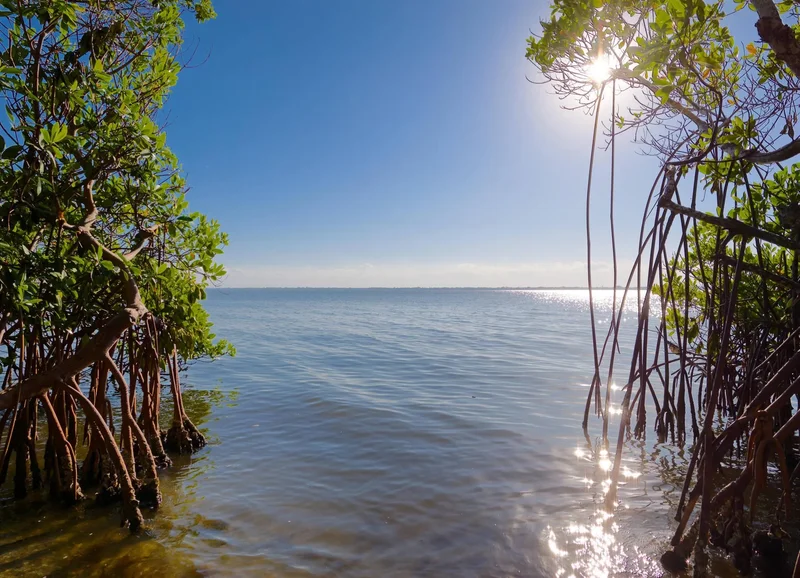 7683 Pelican Pointe Drive, Jensen Beach, Florida, United States. - Photo 40