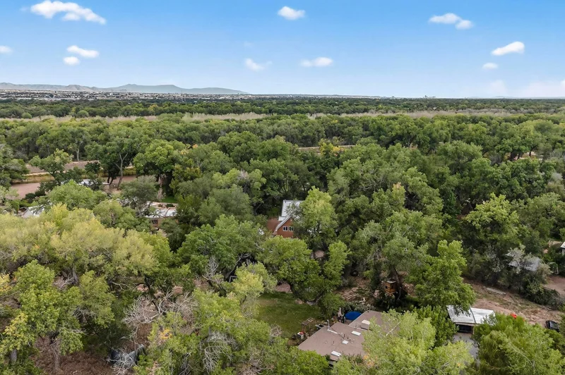 160 ANDREWS Lane, Corrales, NM 87048, Corrales, New Mexico, United States. - Photo 16