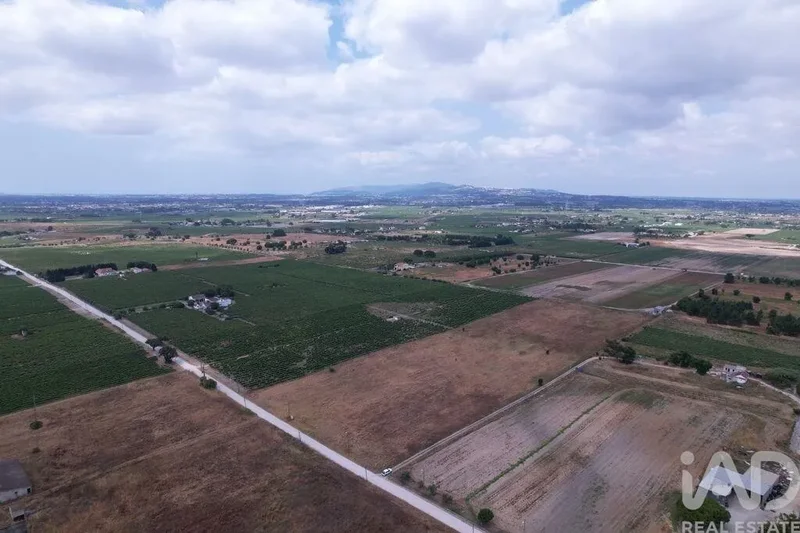 Palmela, Palmela, Setúbal, Palmela, Palmela, Setubal, Portugal. - Photo 6