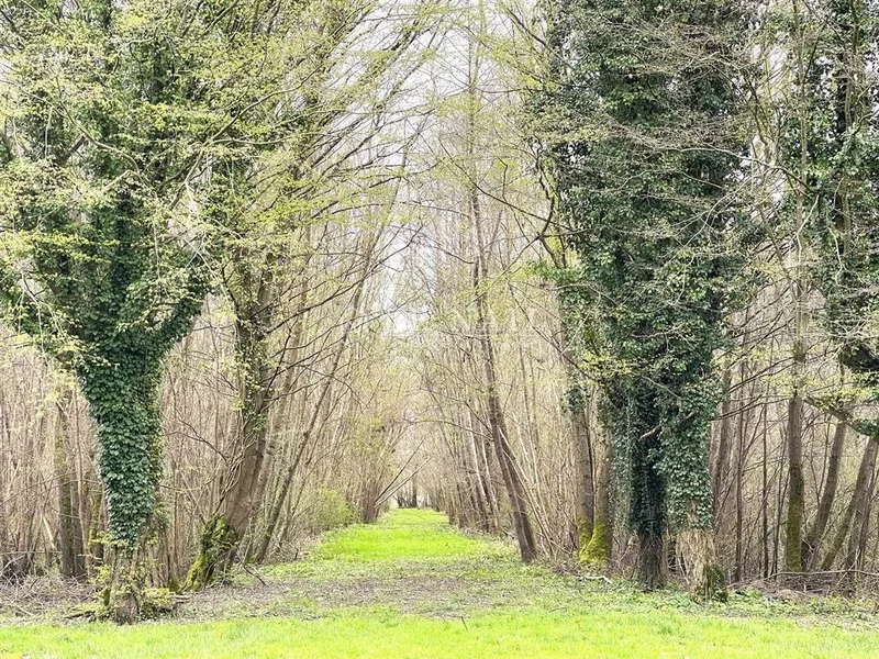 CHALONS EN CHAMPAGNE, Châlons-en-Champagne, Grand Est, France. - Photo 7