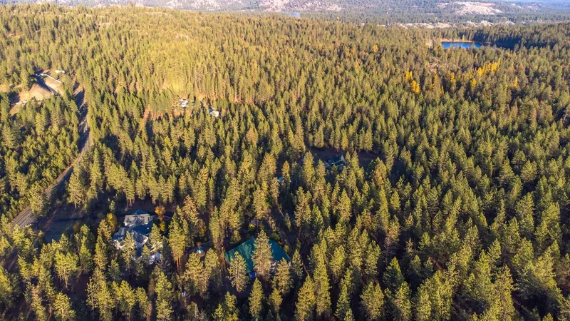 20701 W South Bank Rd, Nine Mile Falls, WA 99026, Nine Mile Falls, Washington, United States. - Photo 18