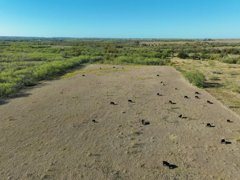 173.2+/- Acres Rocky Creek Ranch, Guadalupe County , San Marcos, TX 78666, Kingsbury, Texas, United States. - Photo 26