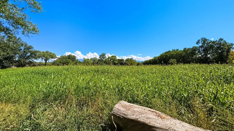 1004 Cottonwood Place NW, Albuquerque, NM 87107, Los Ranchos de Albuquerque, New Mexico, United States. - Photo 70