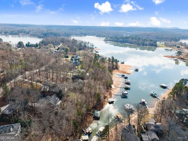 161 Winterhawk Cove, Dawsonville, GA 30534, Cumming, Georgia, United States. - Photo 77