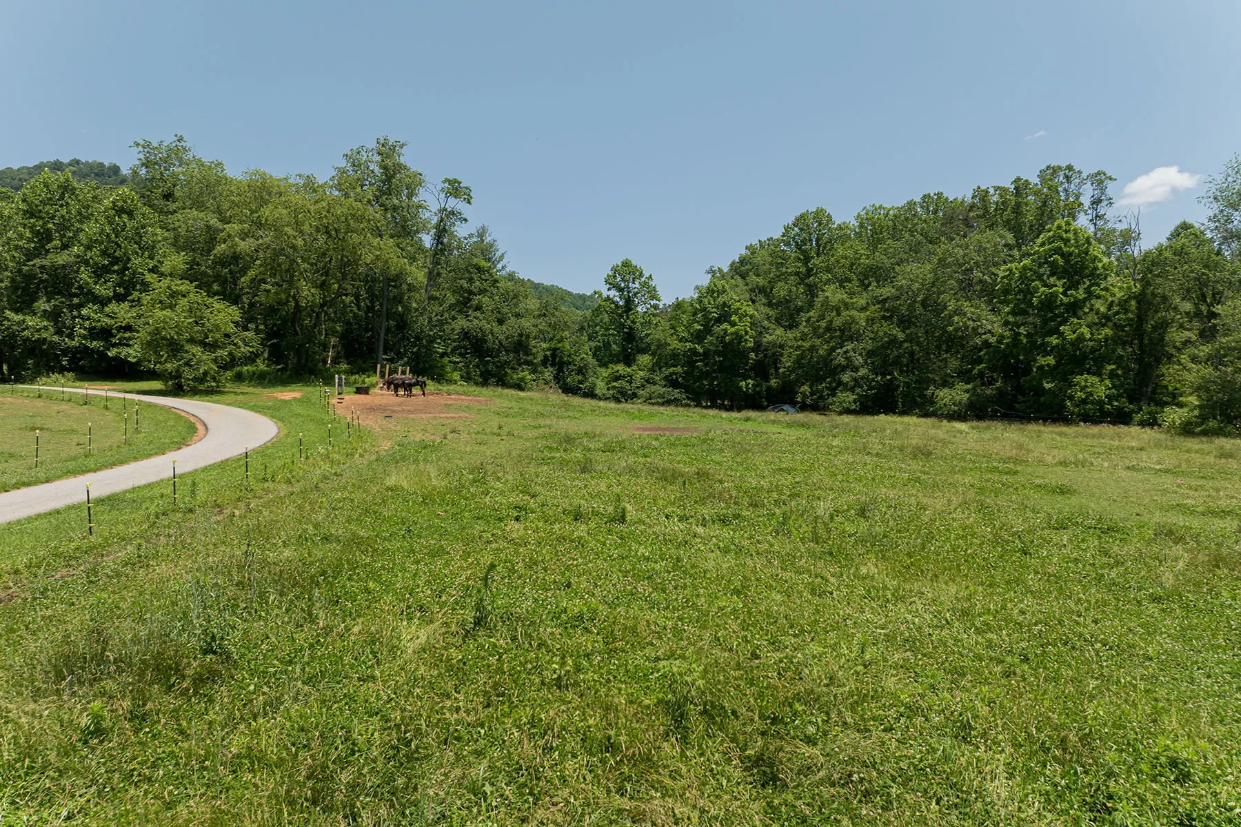 173 Avery Creek Road, Arden, NC 28704, Arden, North Carolina, United States. - Photo 3