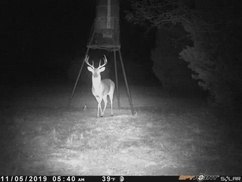 TBD CR 382, Carlton, TX 76436, Dublin, Texas, United States. - Photo 9