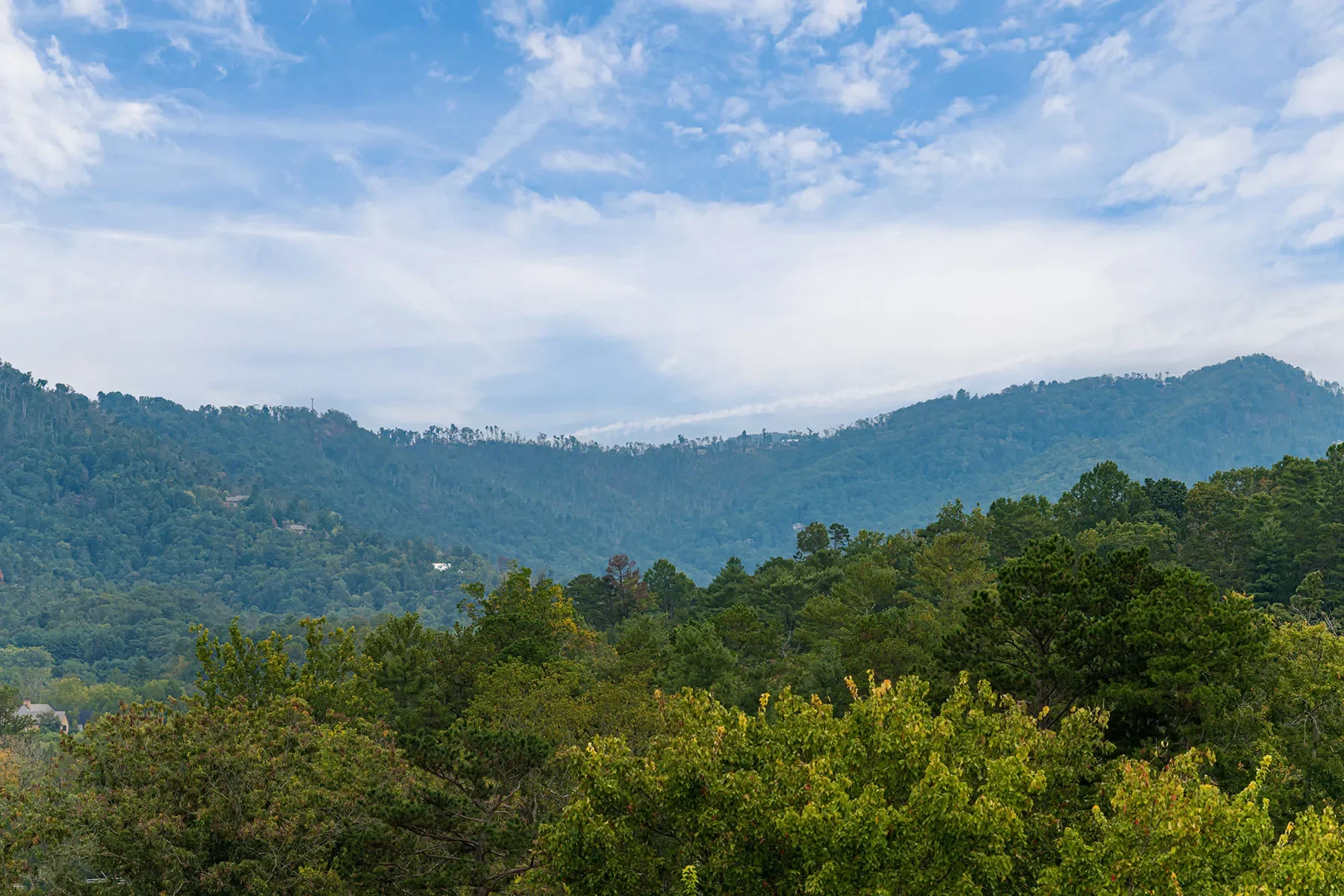 79 Culvern Street, Asheville, NC 28804, Asheville, North Carolina, United States. - Photo 20