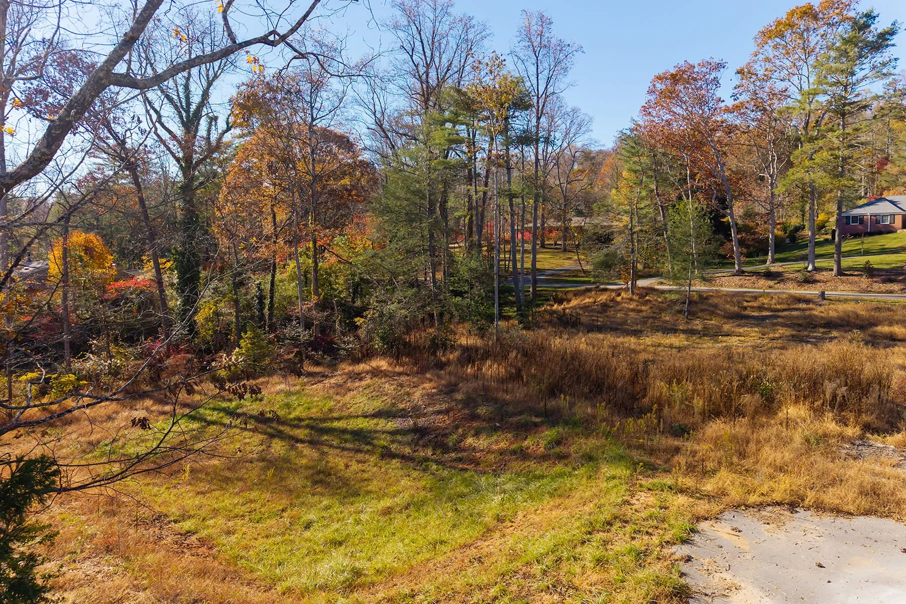 50 Forest Road, Asheville, NC 28803, Asheville, North Carolina, United States. - Photo 15