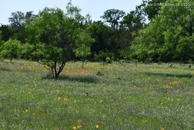 TBD CR 382, Carlton, TX 76436, Dublin, Texas, United States. - Photo 17