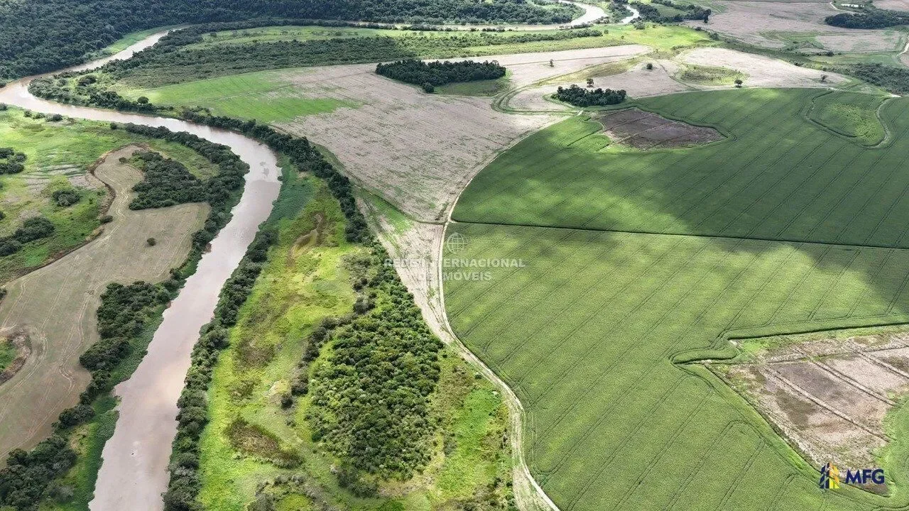 Total area: - 205 alqueires paulistas (approximately 497 hectares) Current use of the property: -