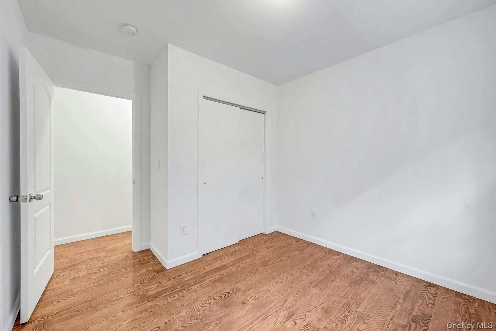 Gallery photo 4