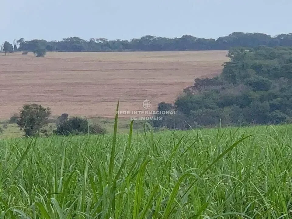Estiva Gerbi, State of São Paulo, Brazil. - Photo 1