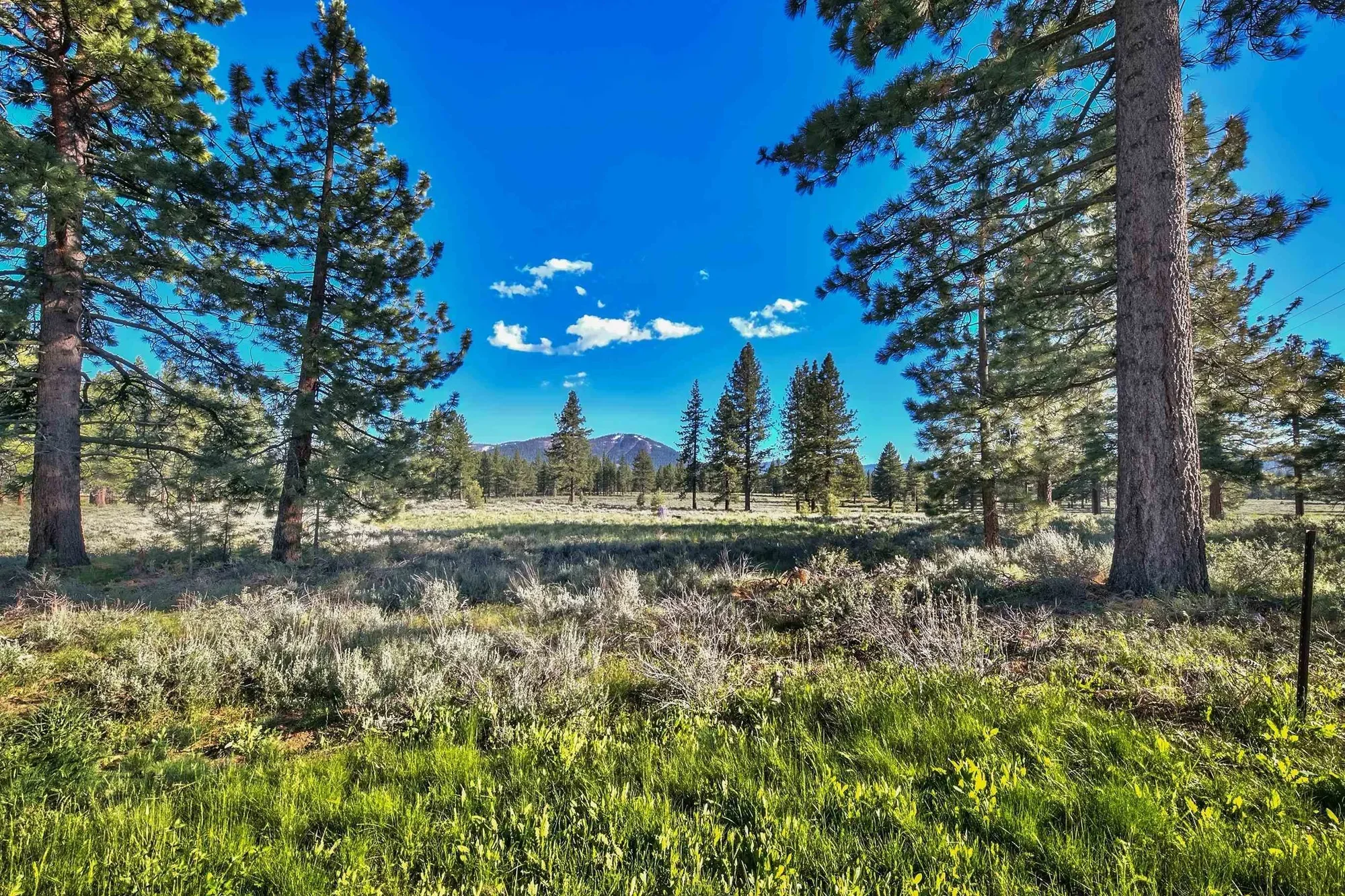 9701 Highway 267, Truckee, California, United States. - Photo 16