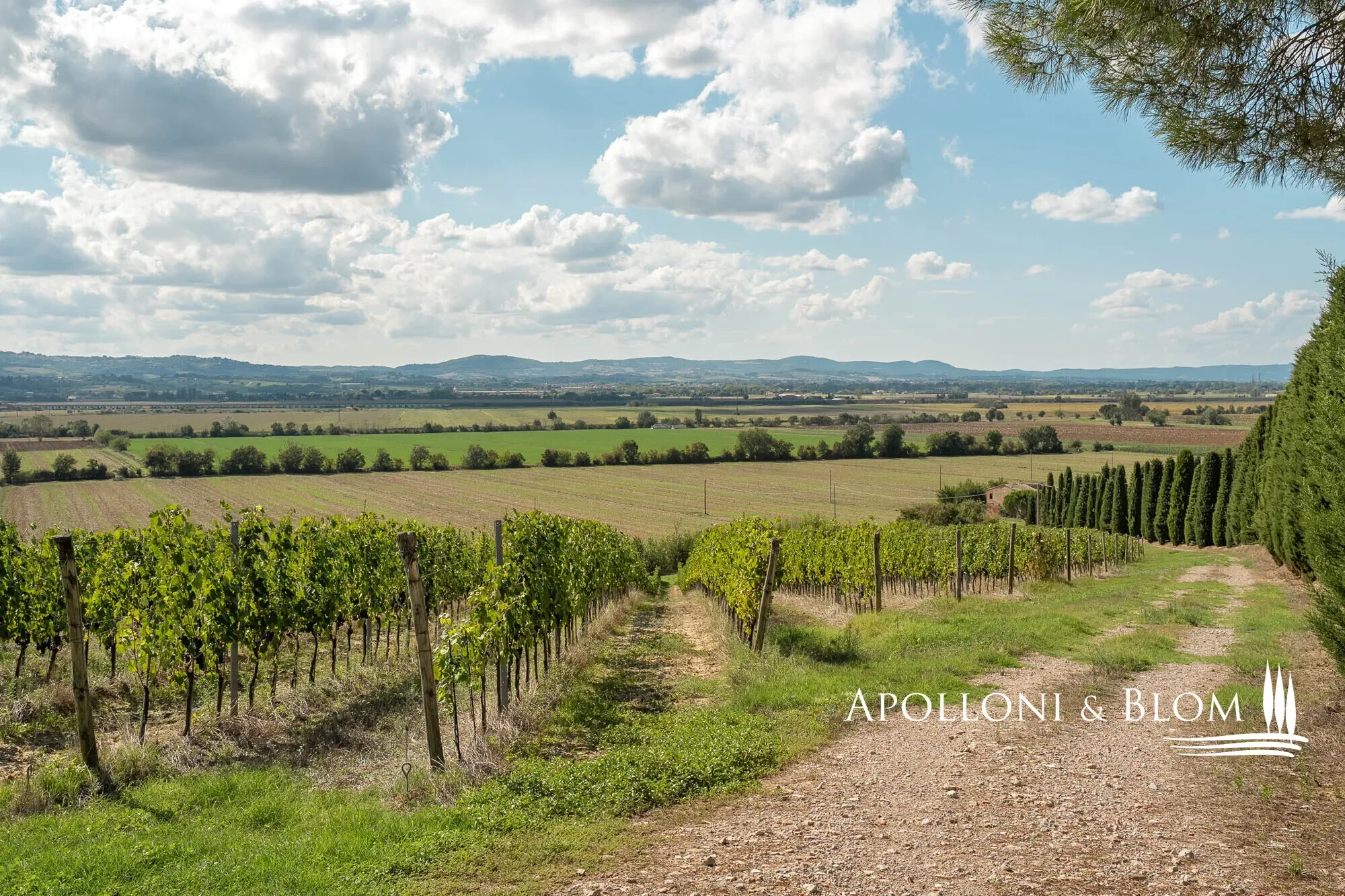 Via di Terra Rossa, Valiano, Tuscany, Italy. - Photo 8