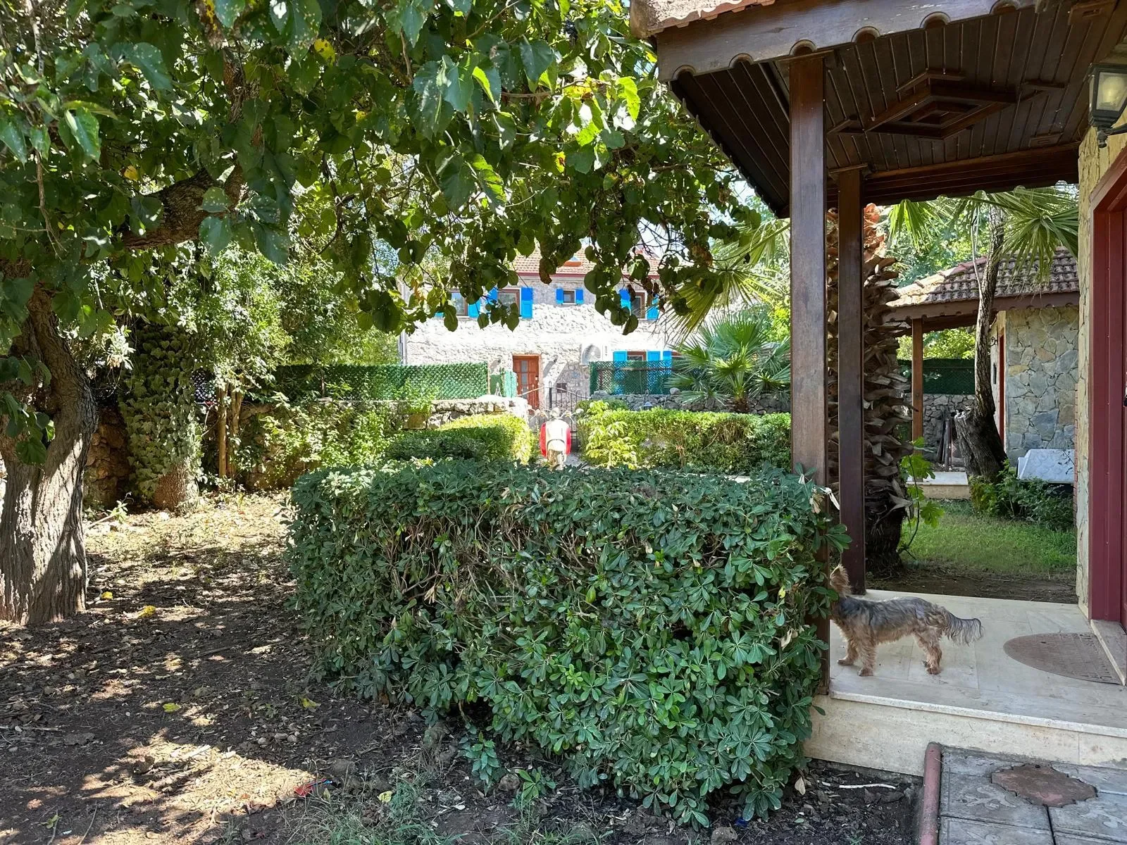 Kayaköy, 48300 Fethiye/Muğla, Türkiye, Kayaköy, Muğla, Turkey. - Photo 6