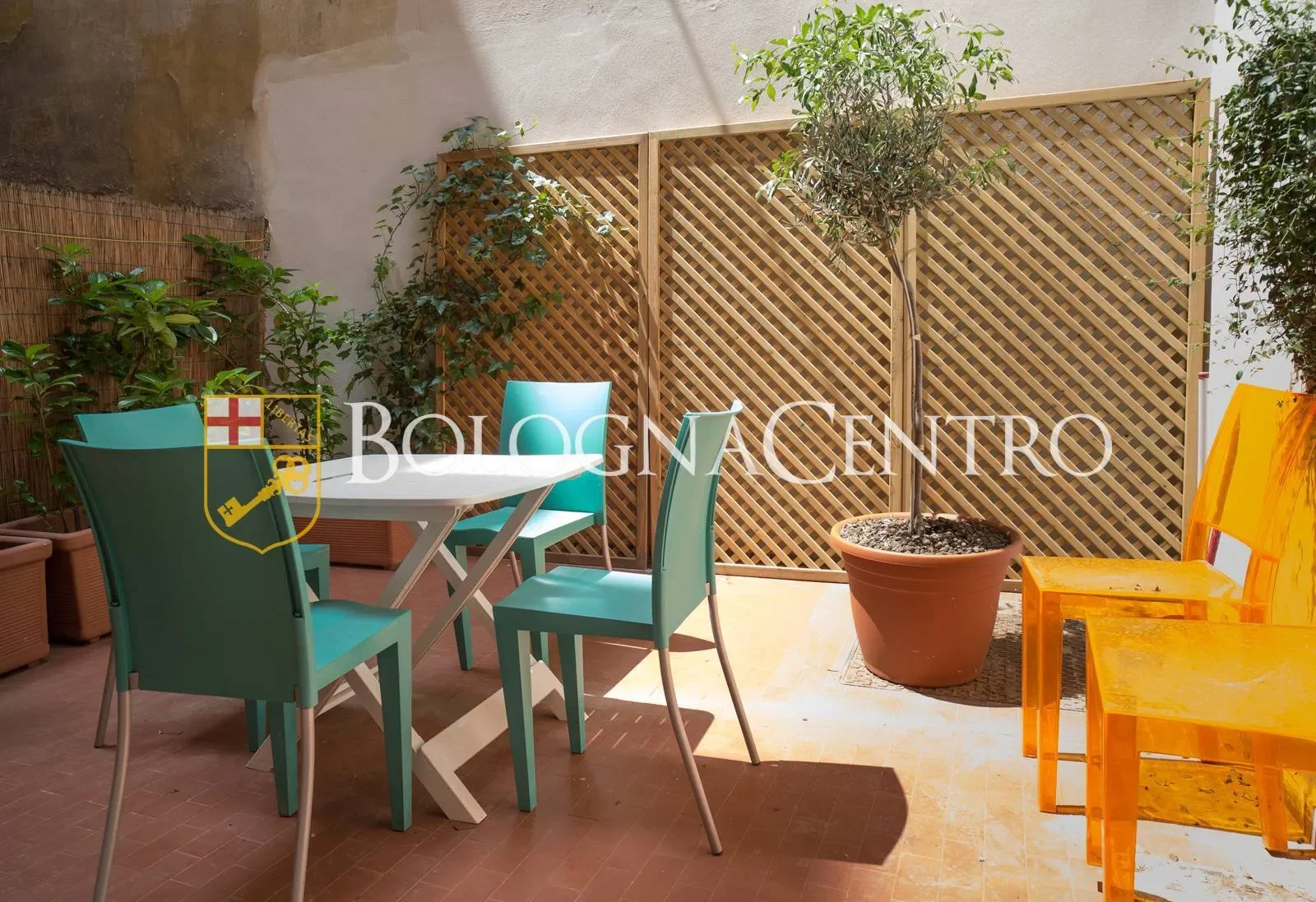 Gallery photo 5
