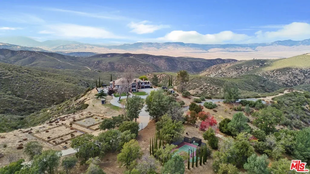 28765 Pine Canyon Road, Lake Hughes, California, United States. - Photo 46