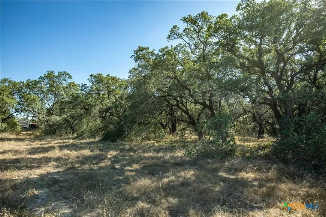21123 Lamm Road, Elmendorf, TX 78112, Elmendorf, Texas, United States. - Photo 27