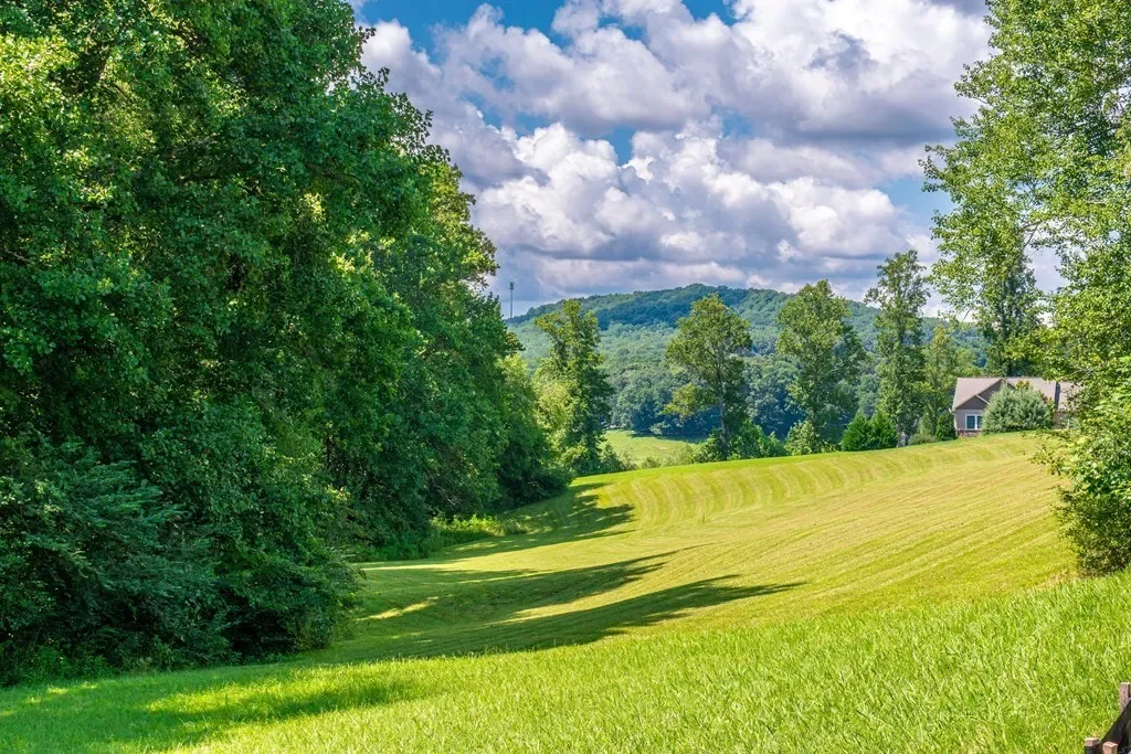 1250 Owen Glen Drive, Blairsville, Georgia, United States. - Photo 4
