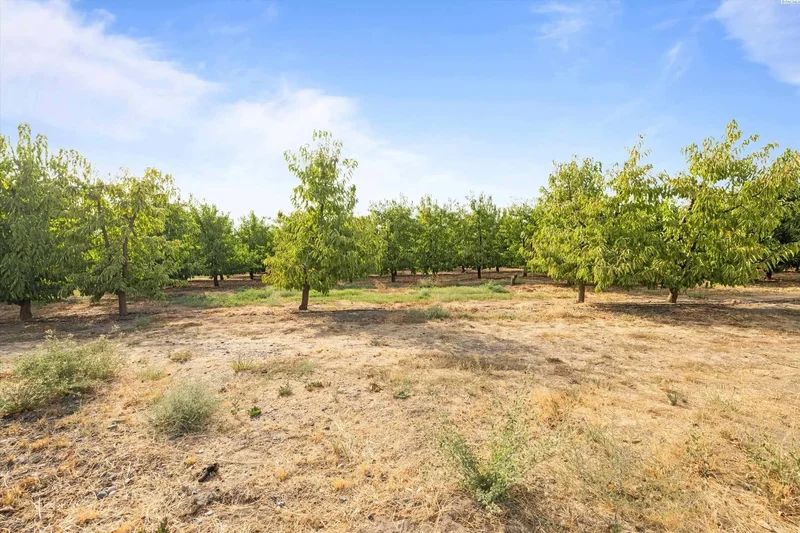 11816 W Acord Road, Benton City, WA 99320, Benton City, Washington, United States. - Photo 15