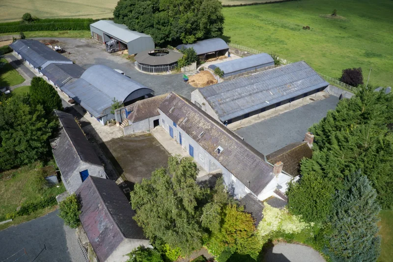 Mount Prospect Stud  , Rathangan, KE R51 X337, Rathangan, County Kildare, Ireland. - Photo 33