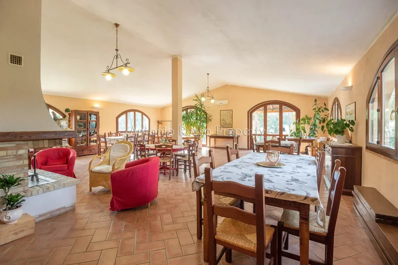 58036 Il Terzo, Province of Grosseto, Italy, Il Terzo, Tuscany, Italy. - Photo 20