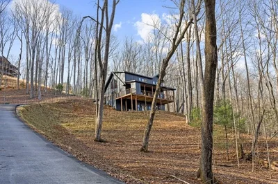Thumbnail 39