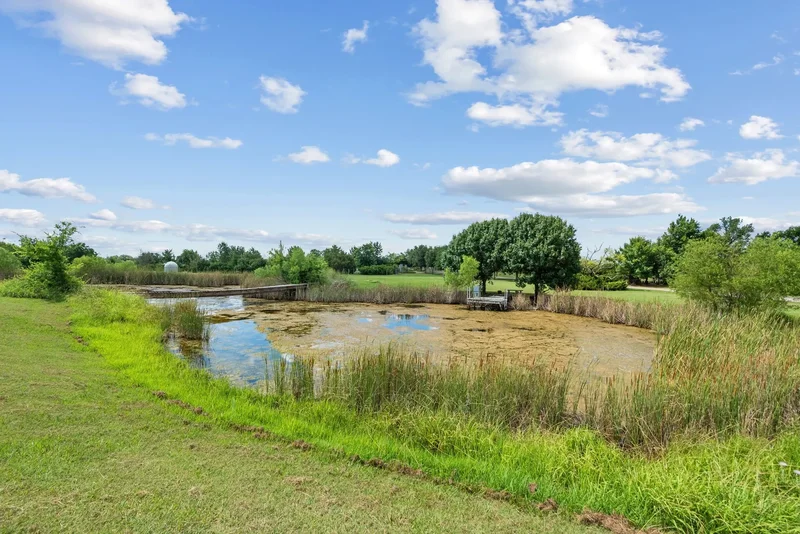 31772 W Fm 8, Dublin, TX 76446, Dublin, Texas, United States. - Photo 15