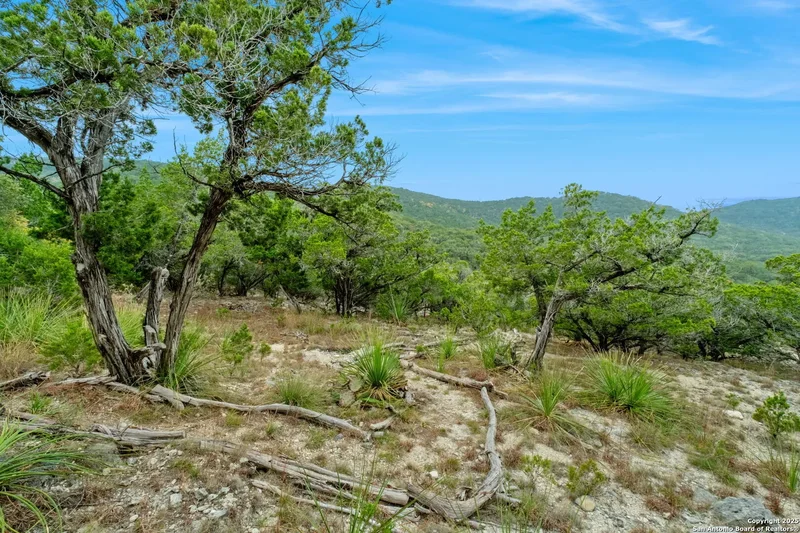 411 Valley View, Pipe Creek, Texas, United States. - Photo 46