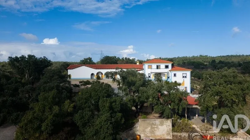 Raposa, Almeirim, Santarém, Almeirim, Almeirim, Santarem District, Portugal. - Photo 15