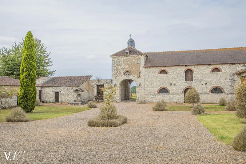 Faye-la-Vineuse, Centre-Val de Loire, France. - Photo 2