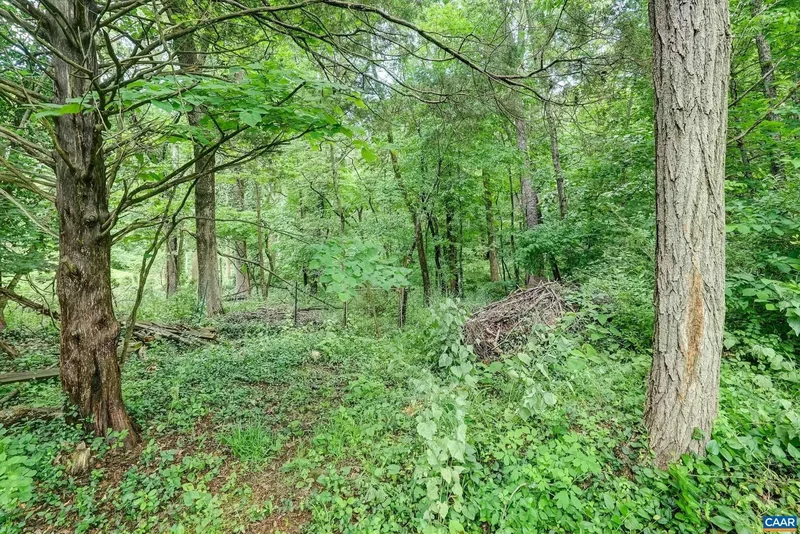 2425 JEFFERSON PARK AVE, Charlottesville, VA, 22903, USA, Charlottesville, Virginia, United States. - Photo 55