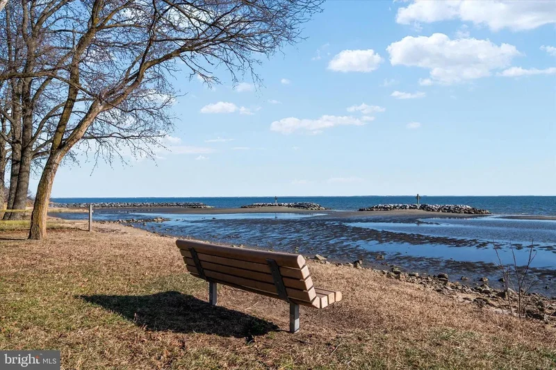 341 Maryland Ave, Edgewater, Maryland, United States. - Photo 72